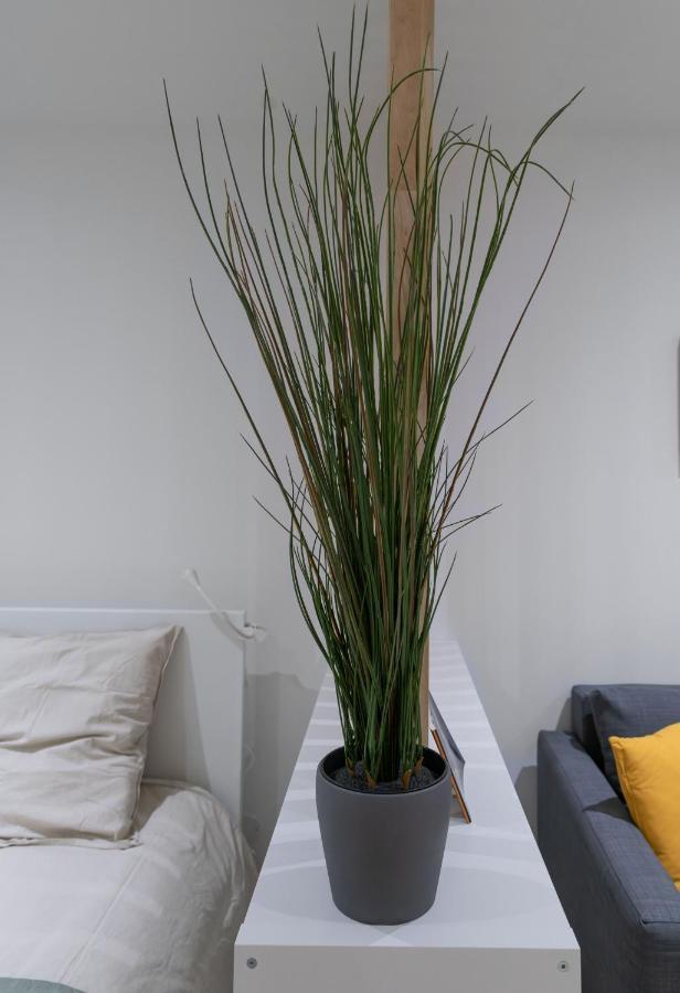 ※Perrier Menthe※ Hyper-Centre Et Tranquillite Apartment Clermont-Ferrand Exterior photo